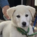 세이브존 계남큰길 변 | 인천 섬 여행 대이작도 2박 3일 낚시 캠핑 후기