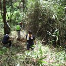 군북정비 이미지