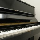 포레스트음악학원 이미지