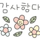 모스트원(most,1)
