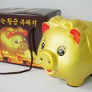 금돼지 이미지