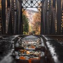 사랑방파크 이미지