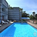 태양의 해변 이미지