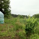 요제농장 이미지