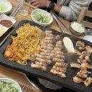 놀뫼애견 이미지