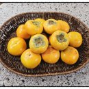 민재축산 이미지