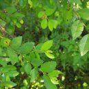 느릅농장 이미지