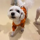 견생낙원 이미지