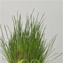 시온 행정사 사무소 이미지