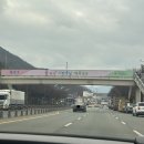 김정문알로에 논공행복점 | 봄물결을 기다리는 꽃샘잎샘