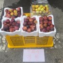 함평천지전통시장 이미지