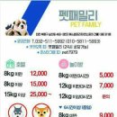 패밀리애견 네이버블로그