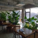 고센농장 이미지