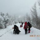 고원목장(2) 이미지