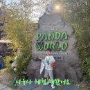에버랜드 에버키즈클럽 후기 🐼 꼬마 사육사의 하루 체험부터 판다관람까지