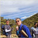 제12차 해외원정산행 동남아시아의 최고봉 키나바루산 산행기 이미지