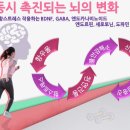 오늘운동 | 오늘의 책 후기: 운동의 뇌과학 - 운동 시작하기가 힘든 이유는?