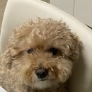 (주)비씨브이네트 | [소소한 행복] 7월 4주 일상 (2)