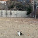 이화ECC안경 | 🎄 권진아 콘서트 This Winter Best Wishes / 이화여자대학교 삼성홀