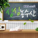올레농수산 네이버블로그