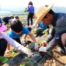하점초교 (주)미디어인천신문