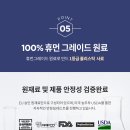 베스트 캣 이미지