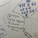 [춘천] 춘천 풍물시장 - 친구들과 꼬꼬야시장 방문 후기!