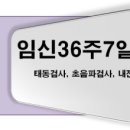 양미혜산부인과 | 임신36주7일 산부인과 내진 및 초음파검사, 태아 태동검사 후기