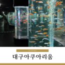 (주)대구타이어백화점 | 대구실내관광지 신세계백화점 9층 대구아쿠아리움 후기