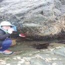 갈릴리민박 이미지