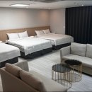 자작나무 스테이 이미지