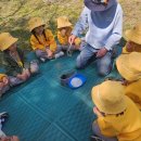 죽리초등학교(병설유치원) 이미지