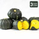호박 쇼핑하우
