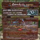 메아리제천