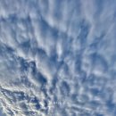 대전광역시립제1노인전문병원 이미지