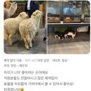 와우쥬 양산점 이미지