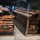 금송목재 이미지