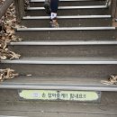 수리산산림욕장(태을초교뒤) | 수리산 단풍구경 다녀온 주말일상