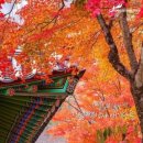 압화(중급) | 2025 백양사 단풍축제 &amp;백암산 트레킹 코스 안내