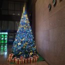 교보생명(리얼코) 이미지