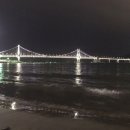 땡큐망미주유소 | 봄의 부산은 처음이었다