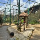 코끼리 게임장 이미지