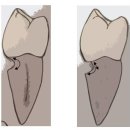 박정기치과의원 이미지