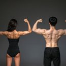 배방2호 이미지