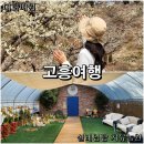 고흥팜2농장 네이버블로그
