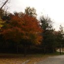 청미천 6 이미지