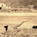 고향민속마을 이미지