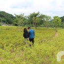 마당환경 이미지