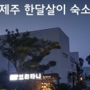 알콩제주 이미지