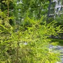 황금종1 이미지